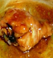Chicken In Beer