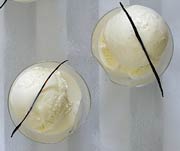 Custard Gelato